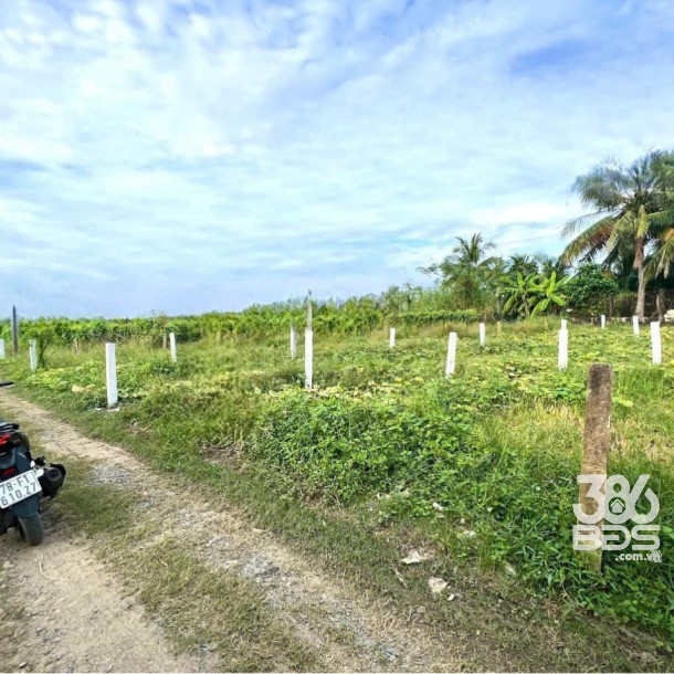 Bán nền thổ cư đường đá xanh 3,5m , xã Quê Mỹ Thạnh , Tân Trụ dt 123m2 giá 380 triệu-2