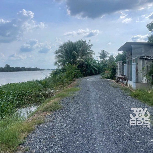 Bán đất mt sông Vàm Cỏ Đông , xã Thạnh Lợi tdt 2833m2 ( có 300m2 thổ ) giá 5,3 tỷ-1