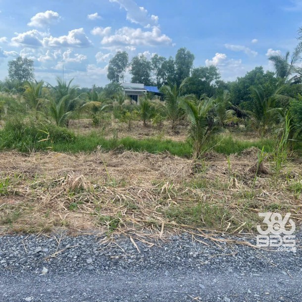 Bán đất mt sông Vàm Cỏ Đông , xã Thạnh Lợi tdt 2833m2 ( có 300m2 thổ ) giá 5,3 tỷ-3