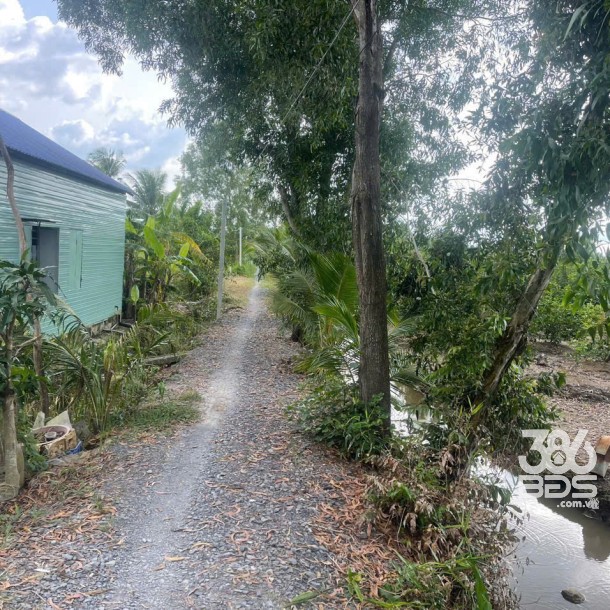 Bán đất mt sông Vàm Cỏ Đông , xã Thạnh Lợi tdt 2833m2 ( có 300m2 thổ ) giá 5,3 tỷ-5