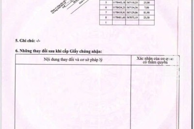 Bán đất thổ + lúa ấp 1 xã Tân Thành, Thủ Thừa tdt 1907m2 ( có 300m2 thổ ) giá 1,99 tỷ