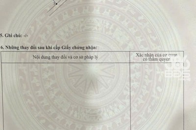 Bán lô đất lúa vuông vức xã Tân Thành , Thủ Thừa dt 1000m2 giá 550 triệu