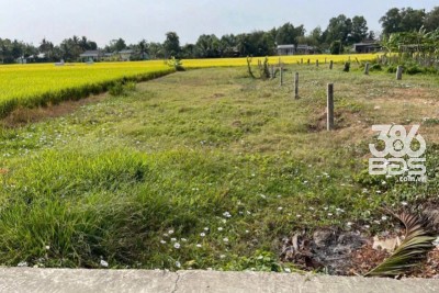 Bán đất thổ cư mt đường Nguyễn Văn Thọ , xã Lạc Tấn , Tân Trụ dt 228.3m2 giá 870 triệu