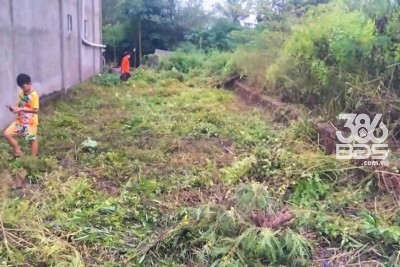 Bán đất thổ cư đường beton xe hơi xã Tân lân , Cần Đước dt 154m2 giá 850 triệu