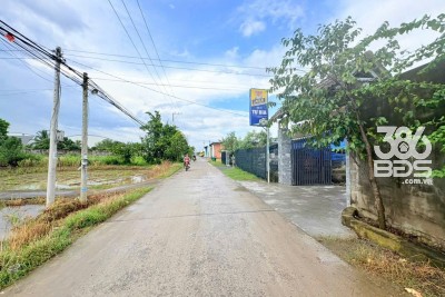 Bán đất thổ lúa vuông vức , đường beton xe 8 tấn xã Tân Bửu  tdt 600m2 ( 150m2 thổ ) giá 6 tỷ