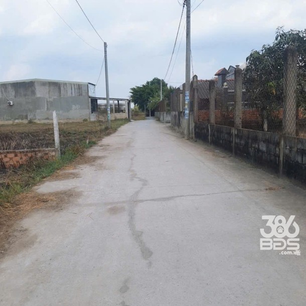 Bán đất thổ cư đường beton xe hơi ở xã Đức Hòa Đông , Đức Hòa dt 303m2 giá 1,6 tỷ-3