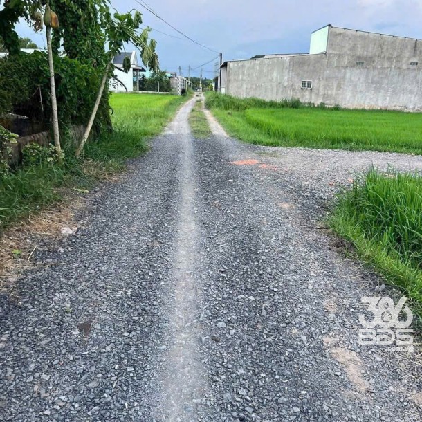 Bán 2 nền thổ cư liền kề xã Hòa Khánh Đông , Đức Hòa dt 160m2 giá 800 triệu 1 nền-2