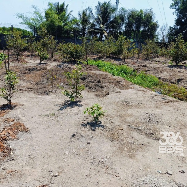 Bán nhà vườn mt đường Nguyễn Văn Ngộ , Nhị Thành , Thủ Thừa tdt 3200m2 ( 620m2 thổ) giá 9 tỷ-4