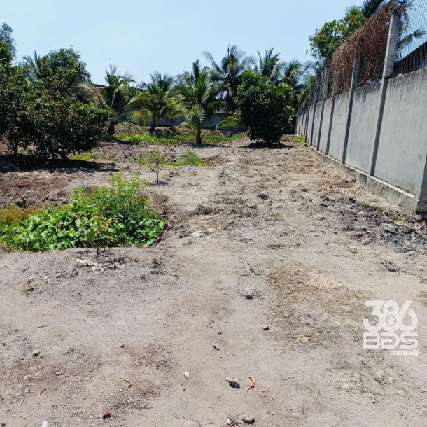 Bán nhà vườn mt đường Nguyễn Văn Ngộ , Nhị Thành , Thủ Thừa tdt 3200m2 ( 620m2 thổ) giá 9 tỷ-6