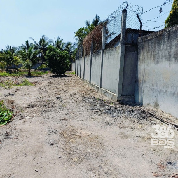 Bán nhà vườn mt đường Nguyễn Văn Ngộ , Nhị Thành , Thủ Thừa tdt 3200m2 ( 620m2 thổ) giá 9 tỷ-8