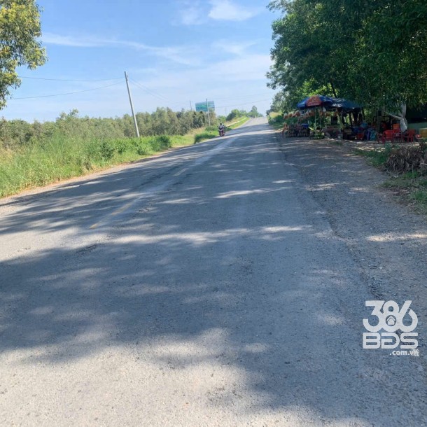 Bán đất mặt tiền quốc lộ N2 , xã Thạnh Lợi , Bến Lức tdt 22,870m2 ( đất rừng sản xuất ) giá 34 tỷ-2