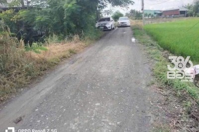 Bán đất thổ cư đường beton xã Tân Lân , Cần Đước dt 1000m2 3,699 tỷ