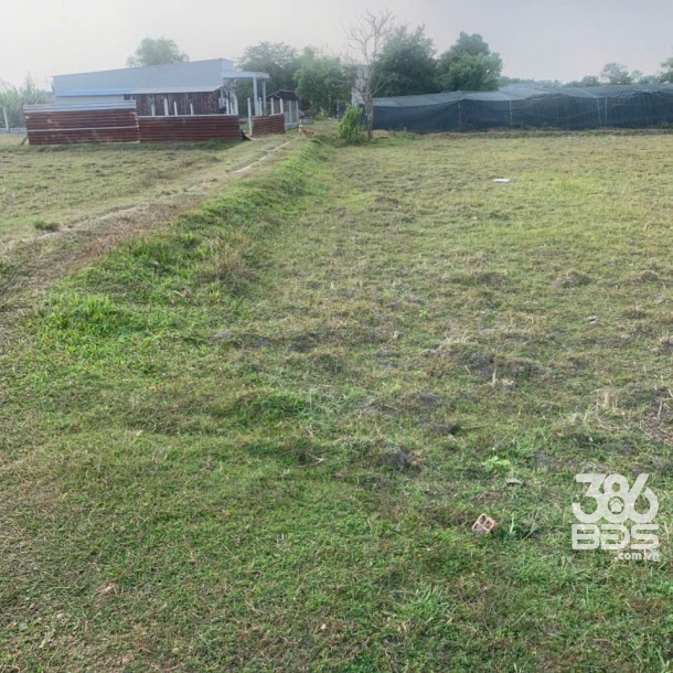 Bán lô đất Mỹ Hạnh Bắc tdt 1240m2 ( 300m2 thổ ) thích hợp phân lô , xây nhà vườn giá 4 tỷ-3