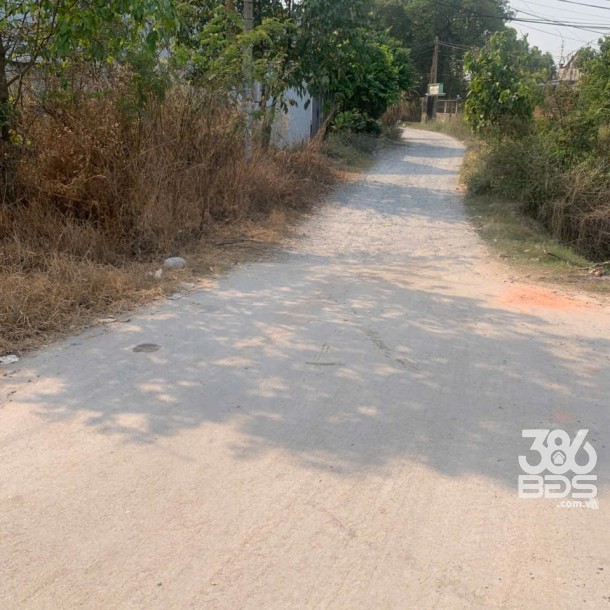 Bán lô đất Mỹ Hạnh Bắc tdt 1240m2 ( 300m2 thổ ) thích hợp phân lô , xây nhà vườn giá 4 tỷ-4