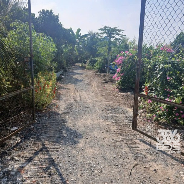 Bán nhà vườn nhỏ xinh ở Nhựt Chánh , Bến Lức tdt 900m2 ( 115m2 thổ) giá 2,2 tỷ-4