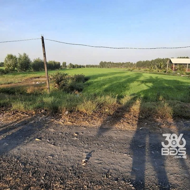 Bán đất xã Tân Phú , Đức Hòa tdt 10.075m2 ( 300m2 thổ ) đường đá xanh 7m giá 5,5 tỷ-3