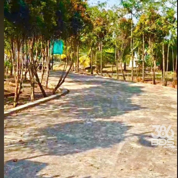 Bán gấp lô đất xã Hiệp Hòa tdt 6500m2 ( 300m2 thổ ) đường đá xanh 5m giá 5,5 tỷ-3