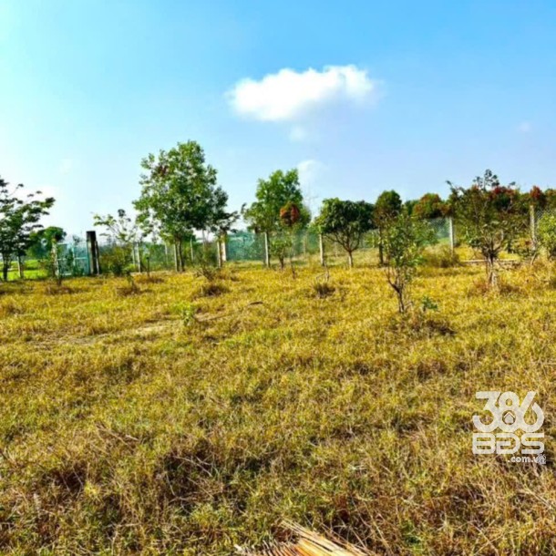 Bán gấp lô đất xã Hiệp Hòa tdt 6500m2 ( 300m2 thổ ) đường đá xanh 5m giá 5,5 tỷ-4