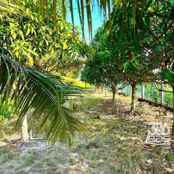 Bán gấp lô đất xã Hiệp Hòa tdt 6500m2 ( 300m2 thổ ) đường đá xanh 5m giá 5,5 tỷ-7