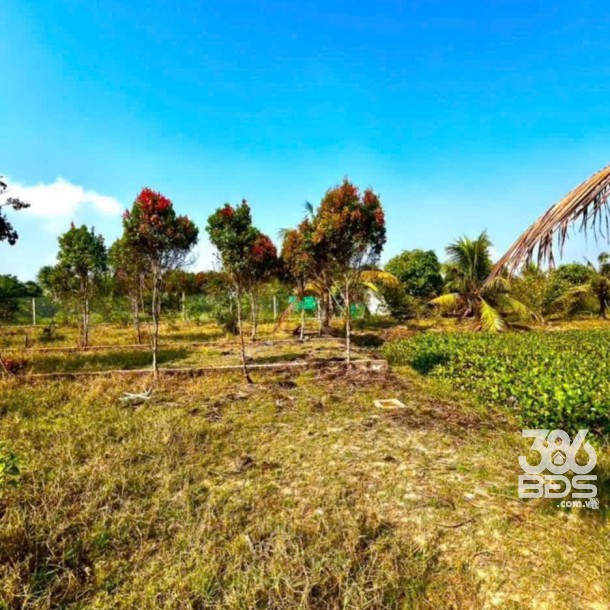 Bán gấp lô đất xã Hiệp Hòa tdt 6500m2 ( 300m2 thổ ) đường đá xanh 5m giá 5,5 tỷ-11