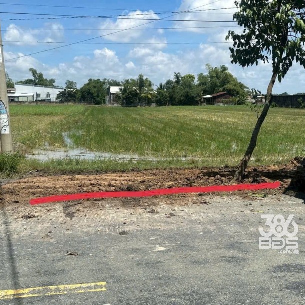 Bán đất lúa mặt tiền đường Bàu Sen , xã Đức Lập Hạ dt 1000m2 giá 4 tỷ-2