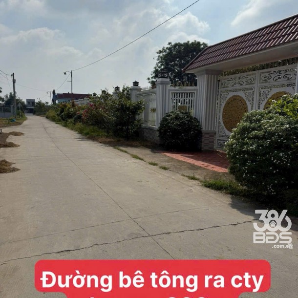 Bán đất thổ cư Đức Hòa Thượng , dt 153m2 , đường đá xanh 4m giá 870 triệu-1