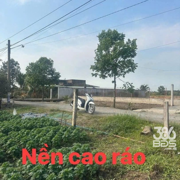 Bán đất thổ cư đường đá xanh xã Long Hòa , Cần Đước , dt 135m2 giá 1,05 tỷ-1