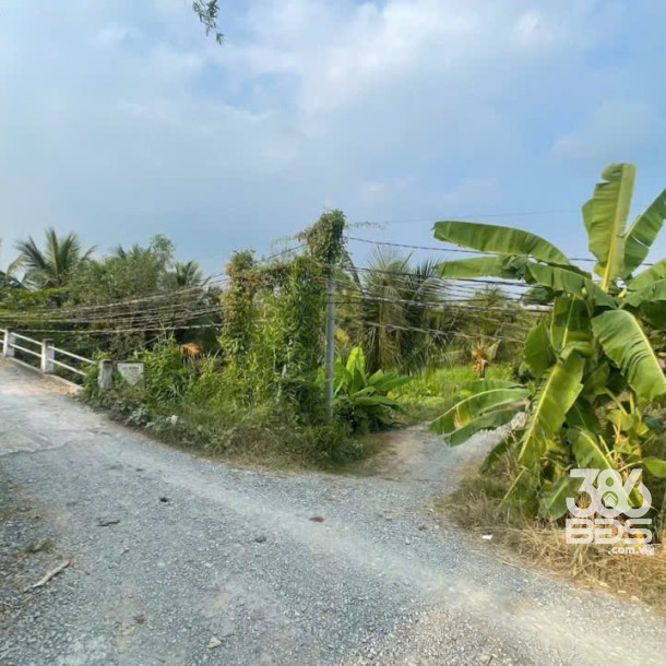 Bán đất vườn mặt tiền kênh ở xã Tân Hòa, Bến Lức dt 7896m2 giá 7,2 tỷ-2