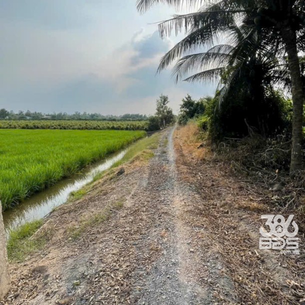 Bán đất vườn mặt tiền kênh ở xã Tân Hòa, Bến Lức dt 7896m2 giá 7,2 tỷ-7