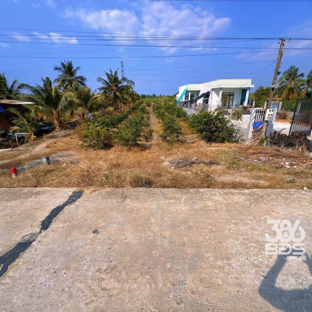 Bán đất vườn mt đường beton Ba Vồn Lớn , Thạnh Hòa, Bến Lức dt 1000m2 giá 1,49 tỷ-2